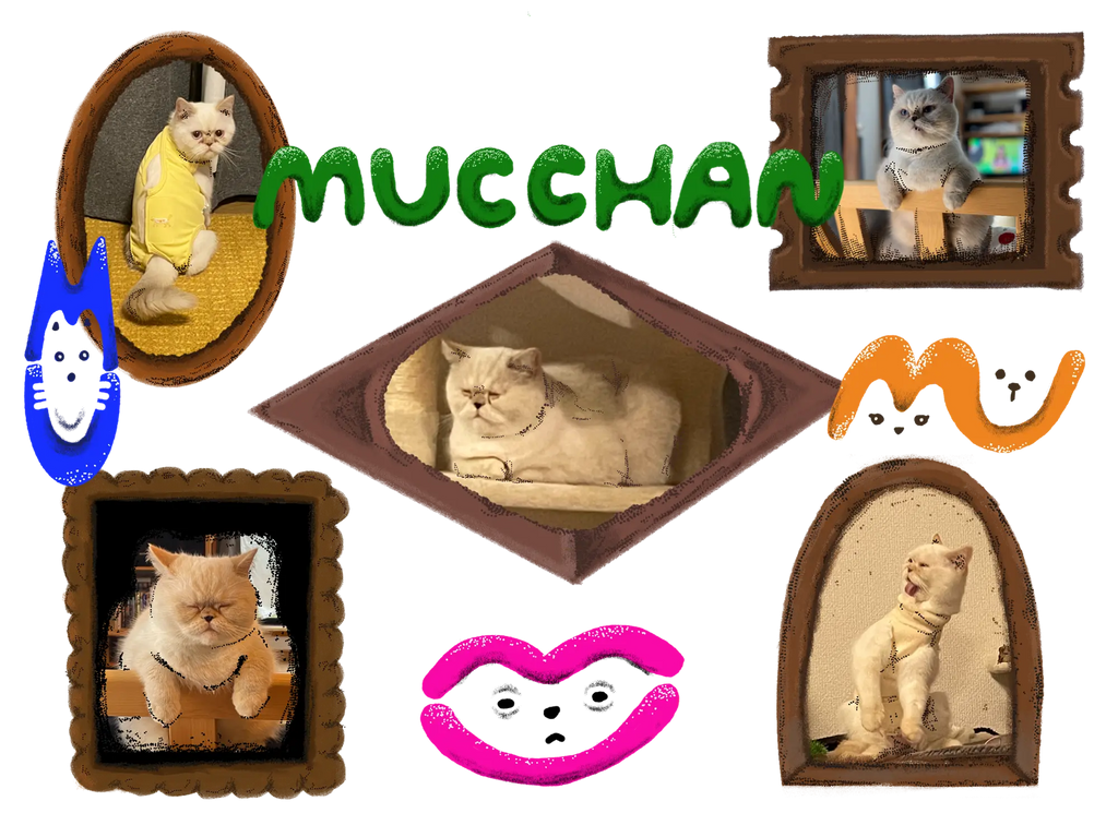 What's mucchan!?