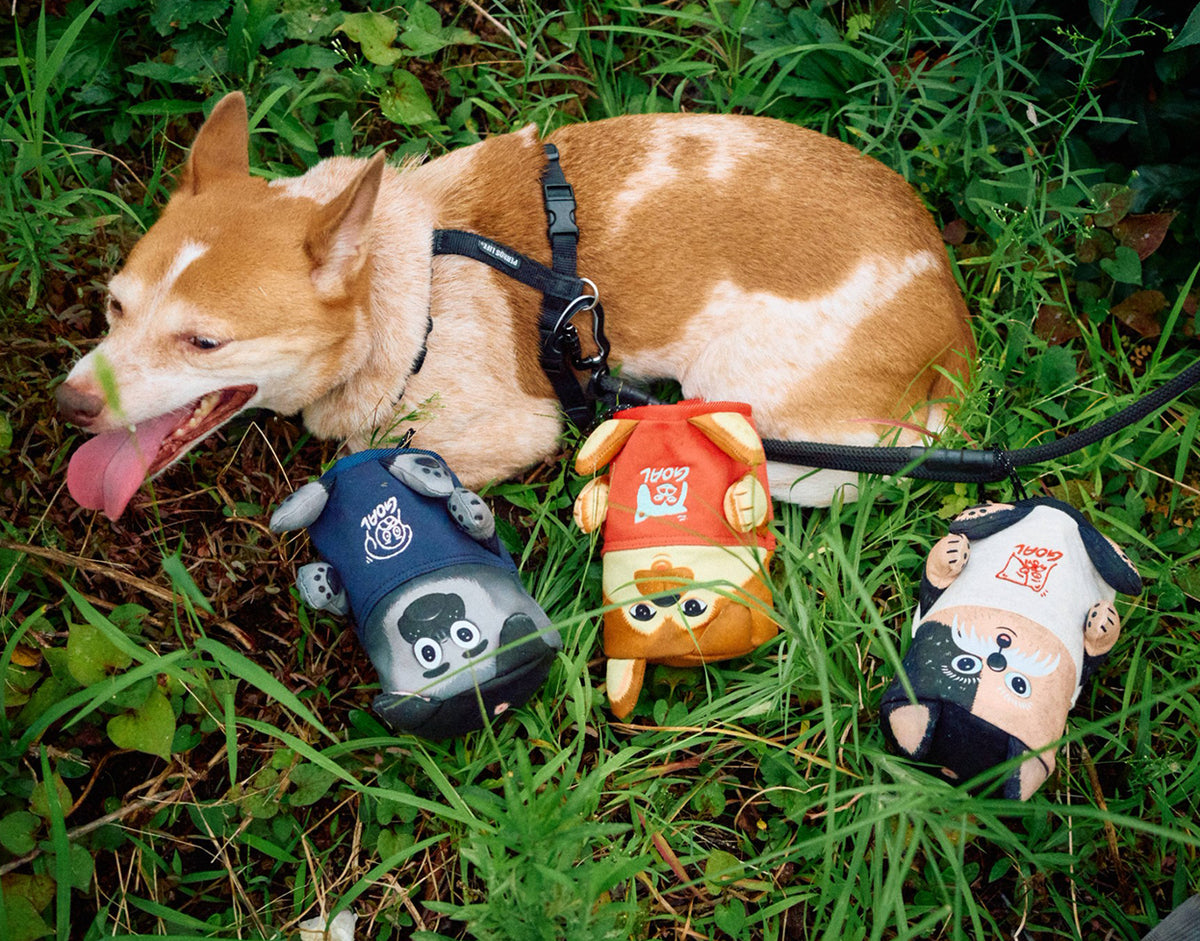 DOG POO POUCH