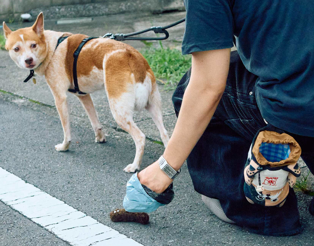 DOG POO POUCH