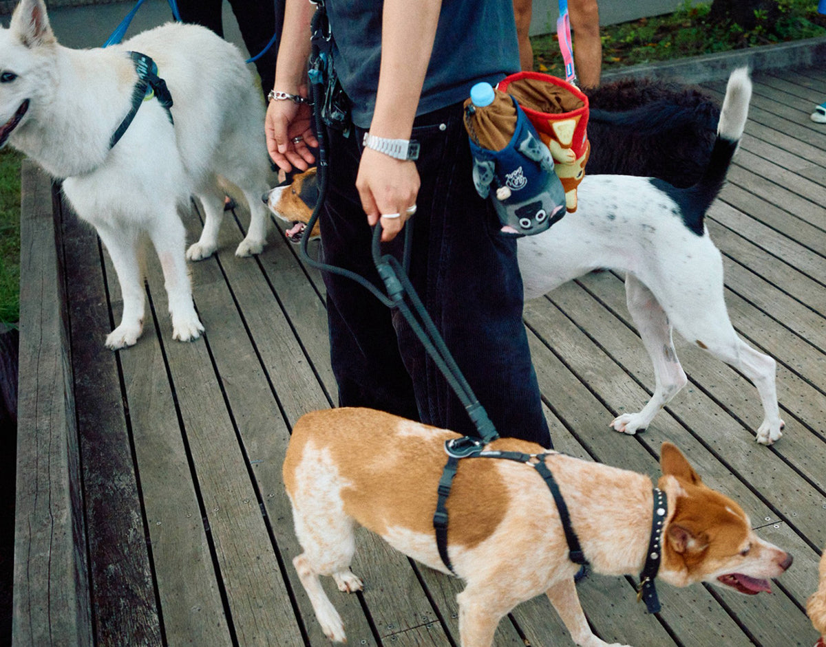 DOG POO POUCH