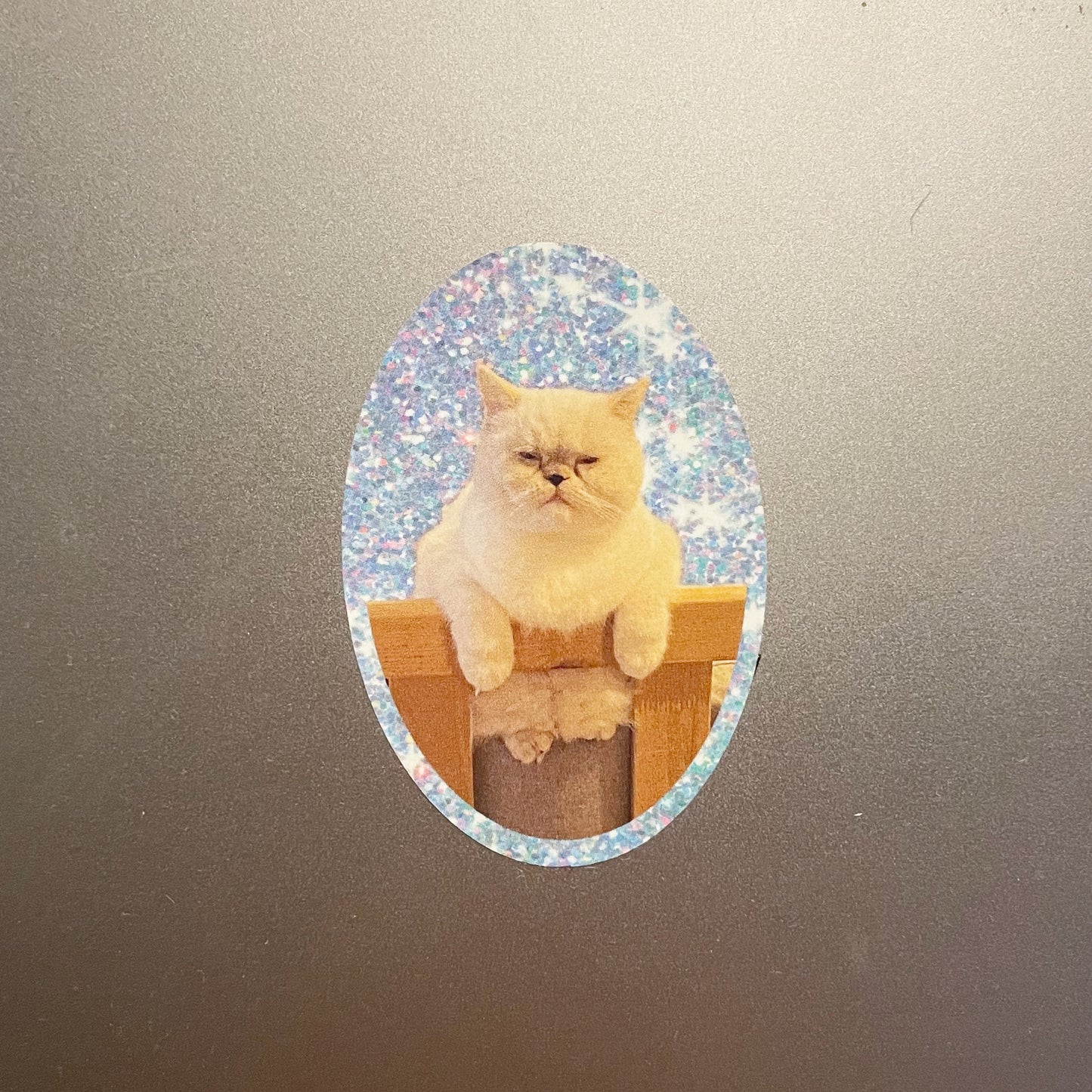 mucchan sticker sheet (Real cat)